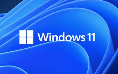 为什么win11透明任务栏用不了 win11无法使用透明任务栏解决方法