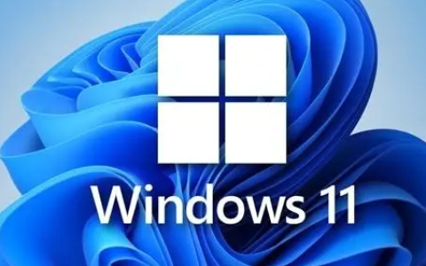 win11浏览器怎么长截图 win11浏览器长截图步骤