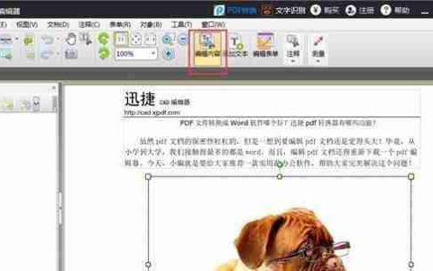 如何去除PDF文件中的文字水印(简单方法帮助您轻松去掉PDF文档中的水印)