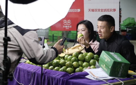相比“云南虫谷”，哀牢山的橙子离我们更近，哀牢山冰糖橙集中上市天猫双11，一晚卖出6万斤
