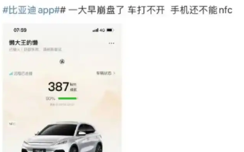 比亚迪王朝、海洋App疑似崩溃，多方回应