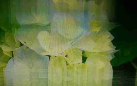 电脑屏幕跳动闪烁怎么回事(笔记本屏幕不停闪烁解决方法)