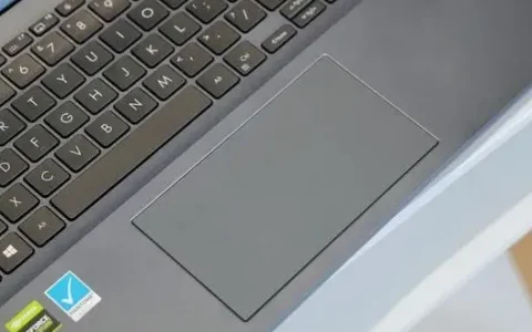 笔记本电脑触摸板禁用了怎么打开？