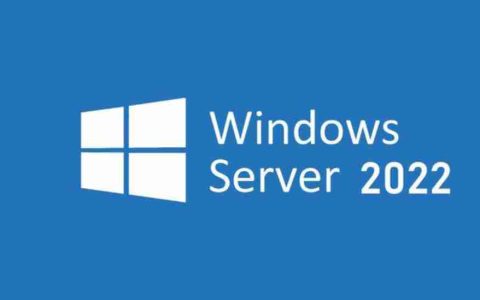 Windows 2022 系统如何修改网卡DNS？（图文）