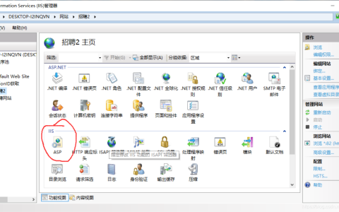 An error occurred on the IIS