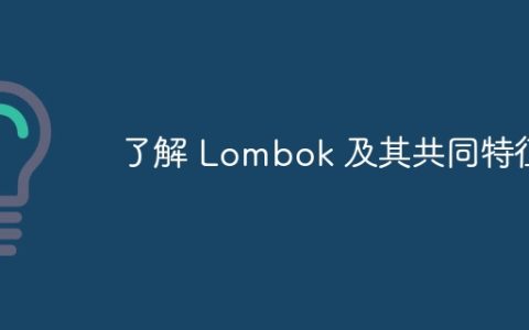 了解 Lombok 及其共同特征