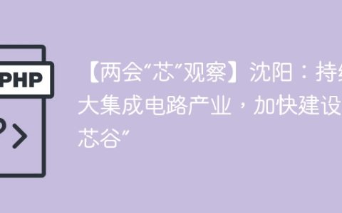 【两会“芯”观察】沈阳：持续壮大集成电路产业，加快建设“北方芯谷”
