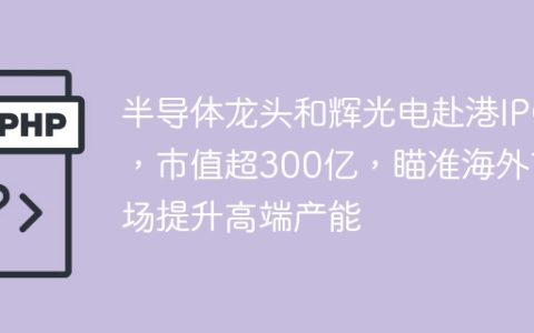 半导体龙头和辉光电赴港IPO，市值超300亿，瞄准海外市场提升高端产能