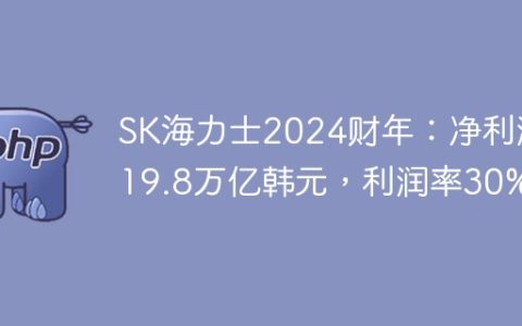 SK海力士2024财年：净利润19.8万亿韩元，利润率30%