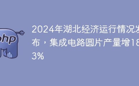 2024年湖北经济运行情况发布，集成电路圆片产量增18.3%