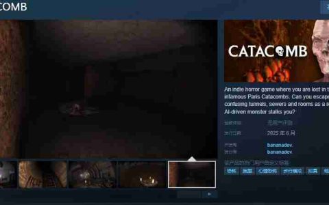 CATACOMB开放Steam页面：深入巴黎地下墓穴，迎接恐怖挑战