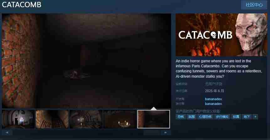 CATACOMB开放Steam页面:深入巴黎地下墓穴,迎接恐怖挑战