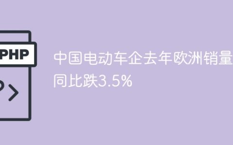 中国电动车企去年欧洲销量同比跌3.5%