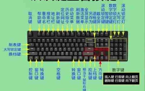 电脑键盘的fn键怎么用？常见问题及解决方法是什么？