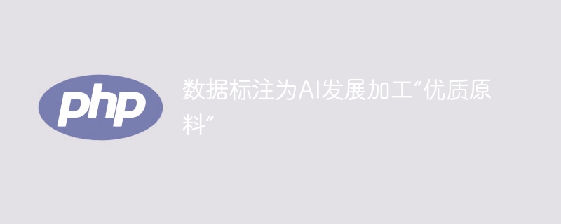 数据标注为ai发展加工“优质原料”