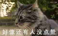 电脑看视频卡怎么办?解决电脑播放视频卡顿的方法
