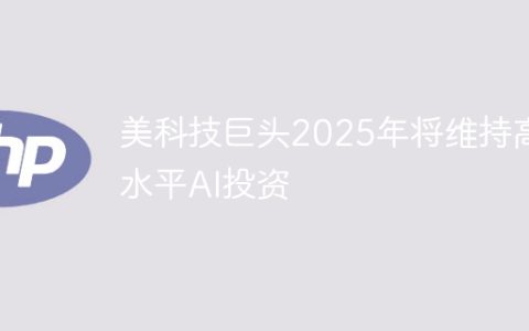 美科技巨头2025年将维持高水平AI投资