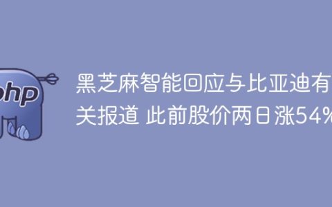 黑芝麻智能回应与比亚迪有关报道 此前股价两日涨54%