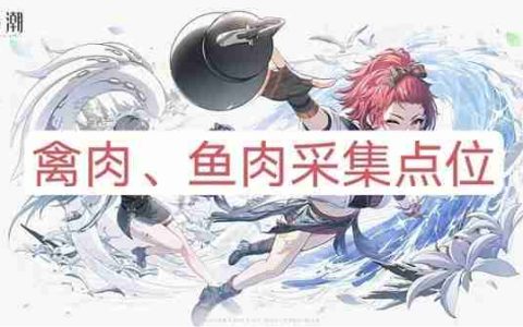 《鸣潮》禽肉与鱼肉高效采集线路详细指南