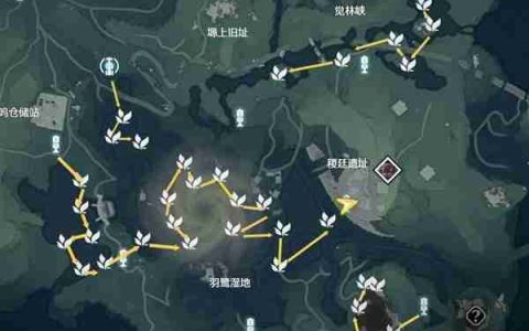 《鸣潮》鸢尾花位置说明-鸢尾花采集线路分享