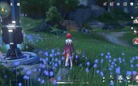 《鸣潮》无光之森旧数据集收集方法指南