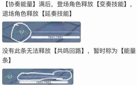 《鸣潮》安可共鸣回路与出装配队