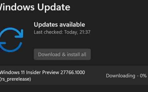 2025 年首更!  Win11 Canary 27766 预览版发布:附完整更新日志