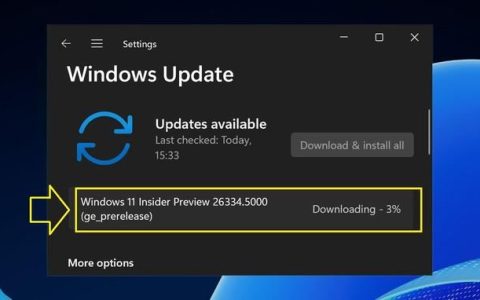 2024 年最后一个预览版! Windows Server vNext预览版26334推送