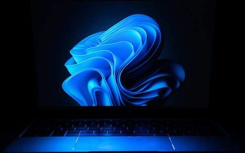 Win11怎么下载安装主题? 获取和安装Win11桌面主题的教程