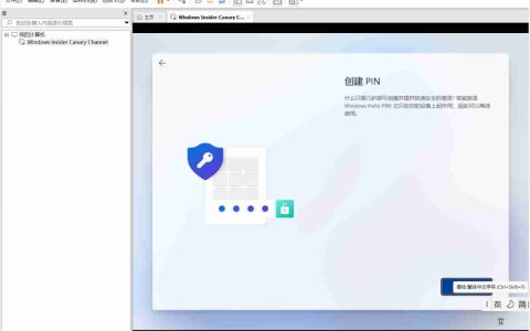 Win11中VMware创建虚拟机后鼠标漂移怎么办?