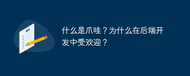 什么是爪哇?为什么在后端开发中受欢迎?