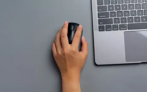 鼠标回报率是什么意思？鼠标回报率怎么调？