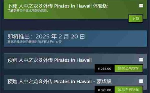 《如龙8外传：夏威夷海盗》上线试玩Demo 存档无法继承
