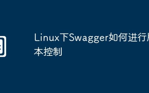 Linux下Swagger如何进行版本控制