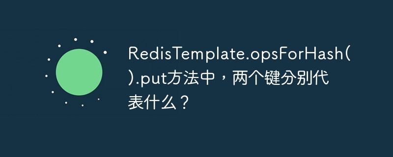 redistemplate.opsforhash().put方法中,两个键分别代表什么?