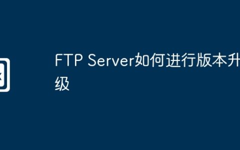 FTP Server如何进行版本升级