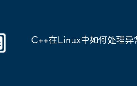 C++在Linux中如何处理异常