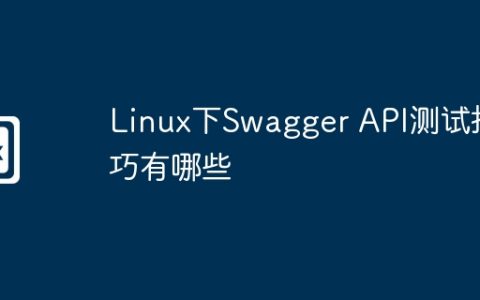 Linux下Swagger API测试技巧有哪些