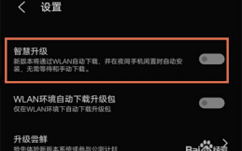 vivo手机怎么禁用自动更新功能_探索vivo手机关闭系统自动更新的多种方法