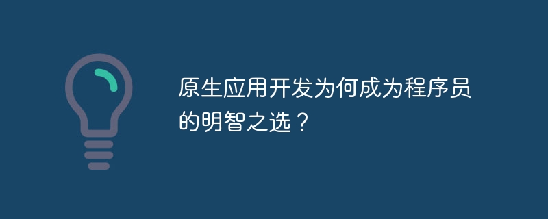 原生应用开发为何成为程序员的明智之选？