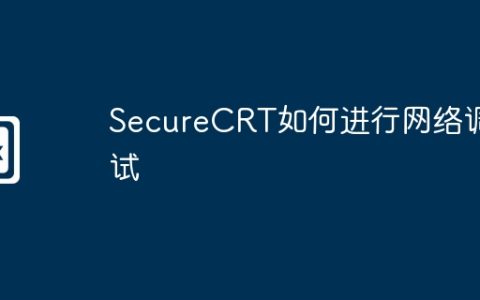 SecureCRT如何进行网络调试