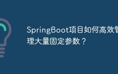 SpringBoot项目如何高效管理大量固定参数？