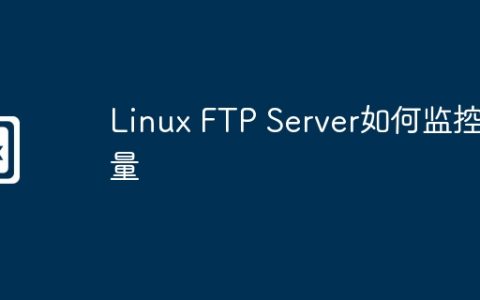 Linux FTP Server如何监控流量