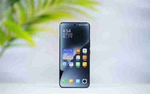 卢伟冰爆料小米15 Ultra杀手级大招：一皇一后