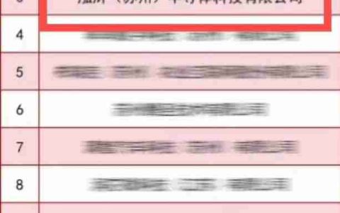 泓浒半导体荣获江苏潜在独角兽企业认定！