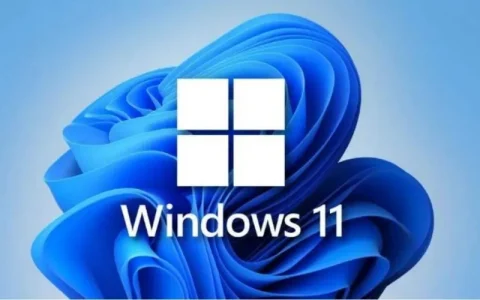 Win11自动关机命令(shutdown)使用方法详解