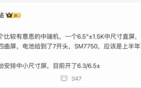 荣耀开始安排 6.3-6.5 英寸中小尺寸机型？两款新机曝光