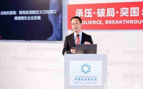 张云在 2025 亚布力论坛呼吁：科技创新商业转化，企业家精神不可或缺