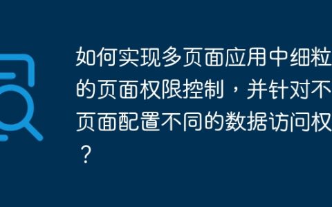 如何实现多页面应用中细粒度的页面权限控制，并针对不同页面配置不同的数据访问权限？