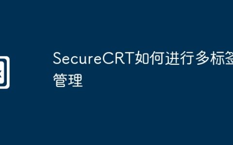 SecureCRT如何进行多标签管理